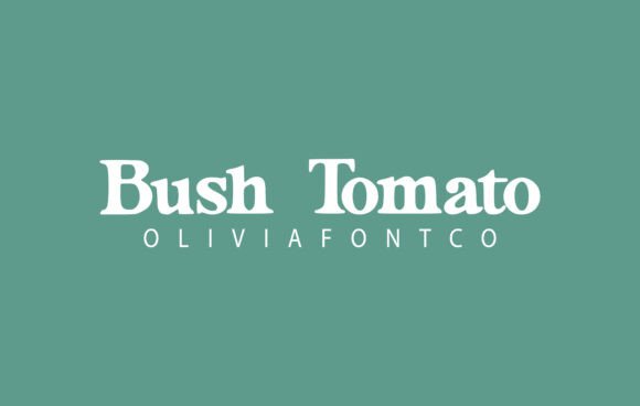 Bush Tomato