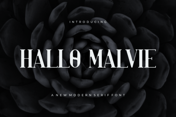 Hallo Malvie: A Serif Font for Timeless Web Design