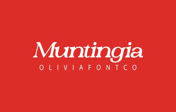Muntingia: A Serif Font That Elevates Digital Branding