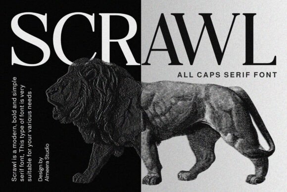 Scrawl: A Serif Font for Editorial Elegance