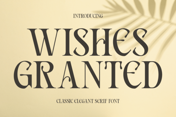 Wishes Granted: A Serif Font for Campaigns That Speak with Elegance